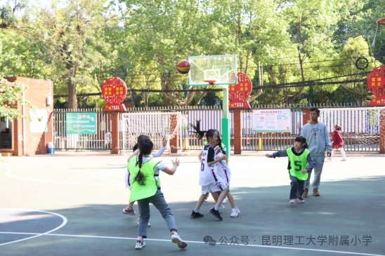 哪里能找到有关篮球训练中纪律培养的方法_2